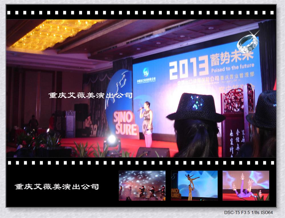 中国出口信用保险公司客户答谢会