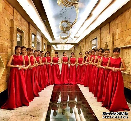 礼仪公司好不好要这样进行判断
