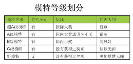 模特等级划分